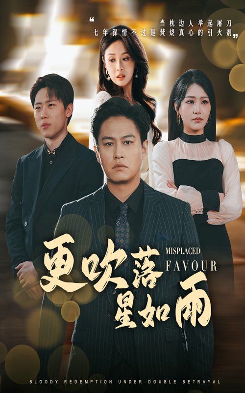 更吹落星如雨海报